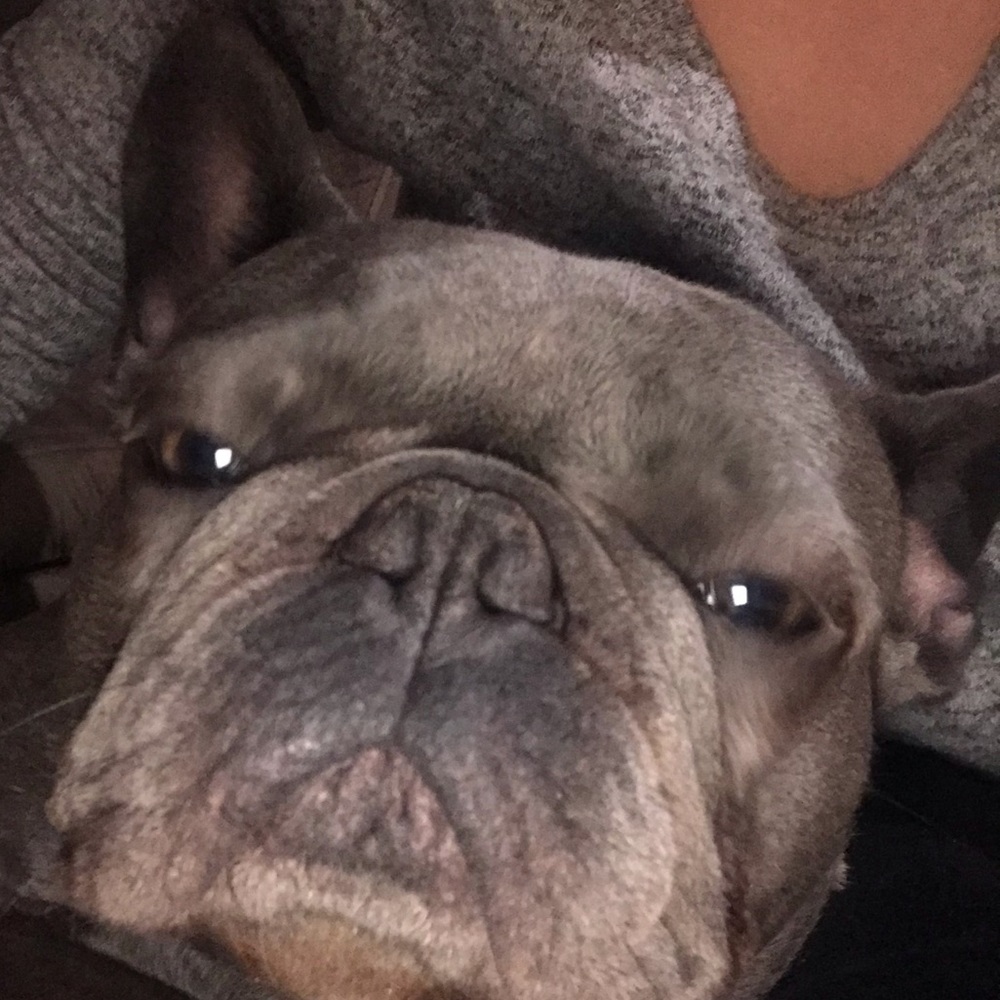 Meet your Posher, Chelsea